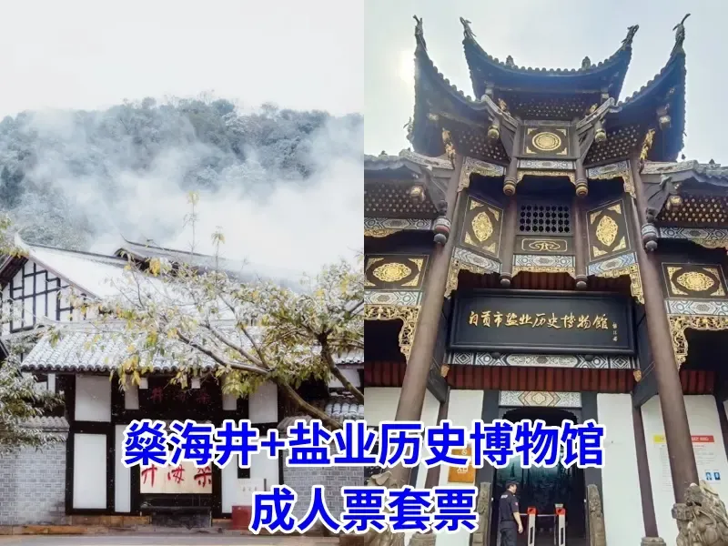 【盐业历史博物馆+燊海井】成人票