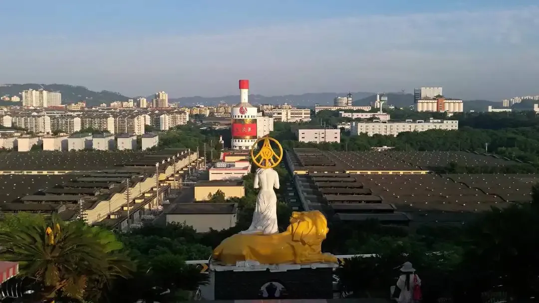 自贡市人民政府与宜宾五粮液集团有限公司签署战略合作协议,双方将在"