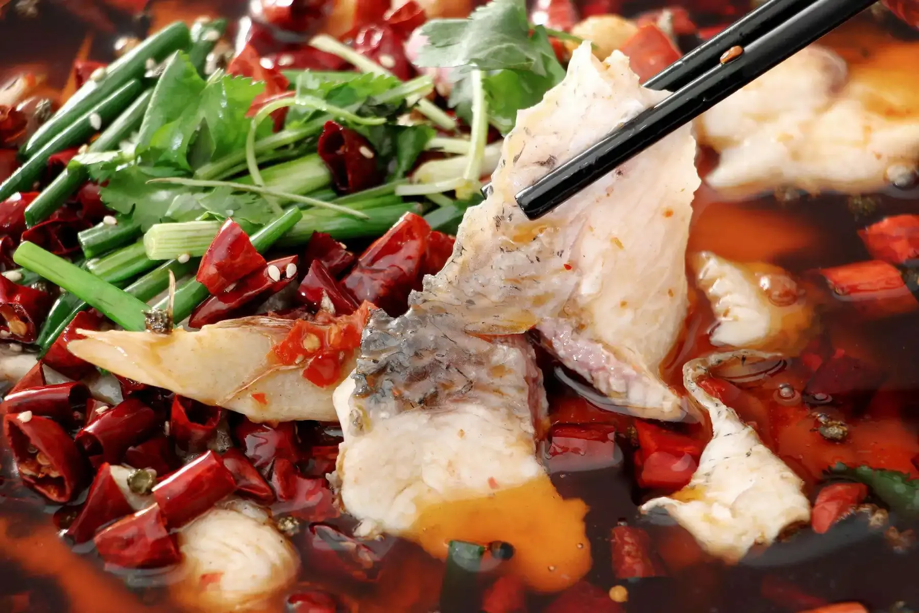 自贡美食推荐二:盐帮菜 - uu163旅行在线