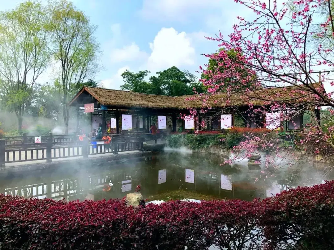 田园秀美桃花彩绘自贡市第二十一届自流井尖山桃花会盛大开幕